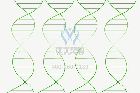 【极悦娱乐极悦基因检测】脊髓延髓肌萎缩症基因解码、基因检测